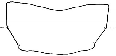 Apiloscatopse subgracilis, male tergite 7 (after Haenni & Greve, 1995).