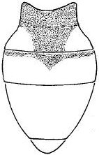 Camilla nigrifrons, abdomen in dorsal view (after Papp, 1973).